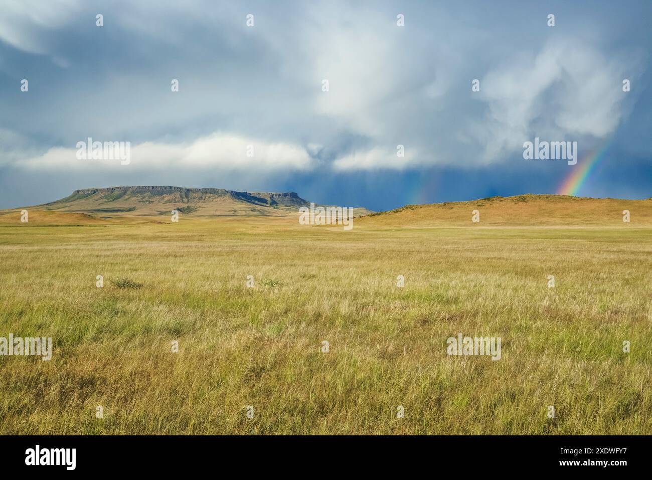 square butte e un arcobaleno in una tempesta estiva sulla prateria vicino a ulm, montana Foto Stock