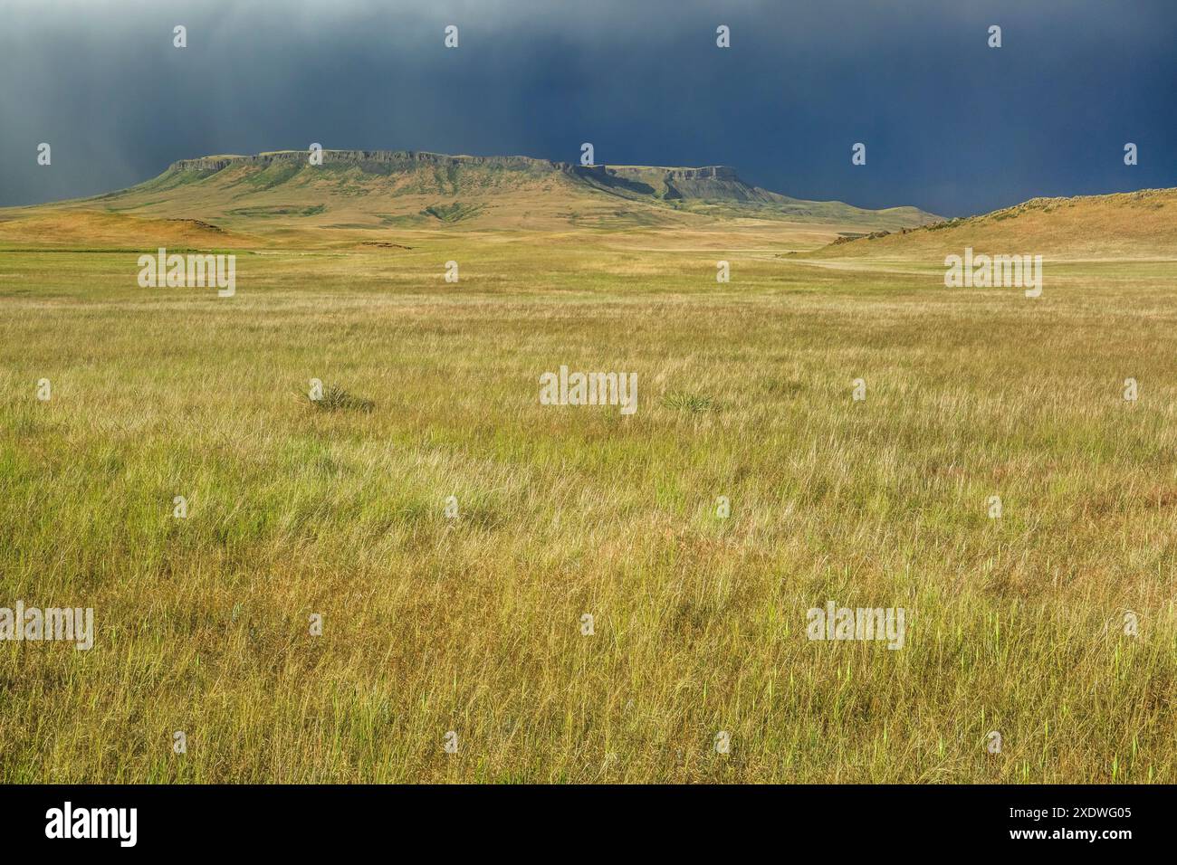 tempesta di pioggia che passa sopra square butte sulla prateria vicino ulm, montana Foto Stock