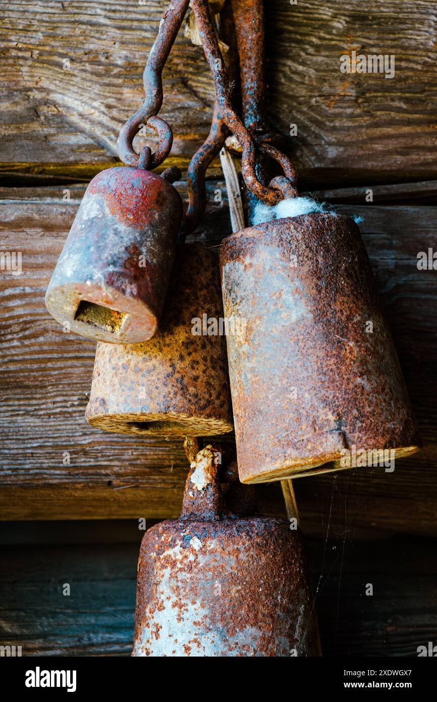 Il cotone antico scaglie di piselli wegiht e barnboard vintage Foto Stock Il cotone antico scaglie di piselli wegiht e barnboard vintage Foto Stock