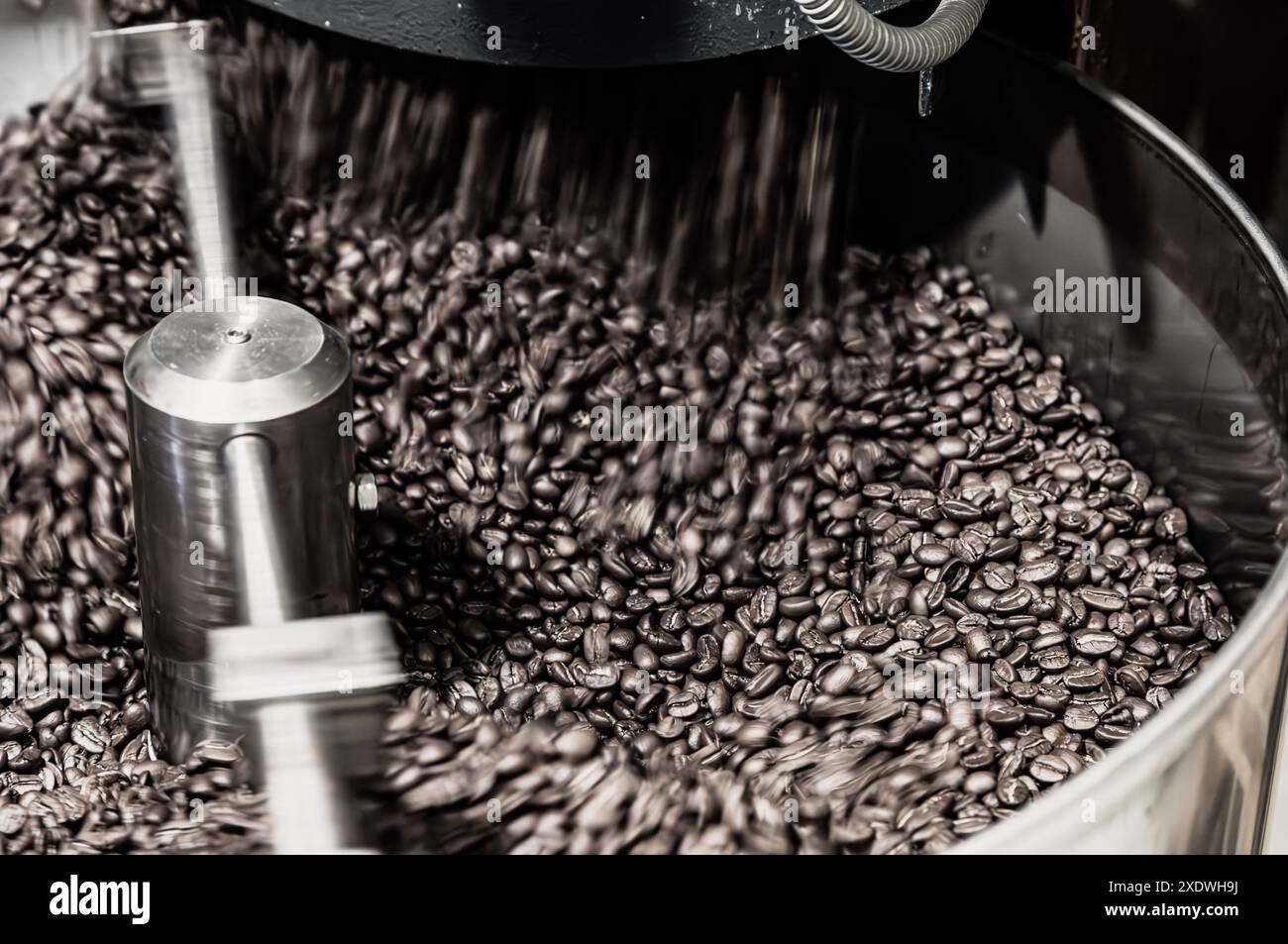 tostatura di chicchi di caffè, tonalità seppia, primo piano Foto Stock