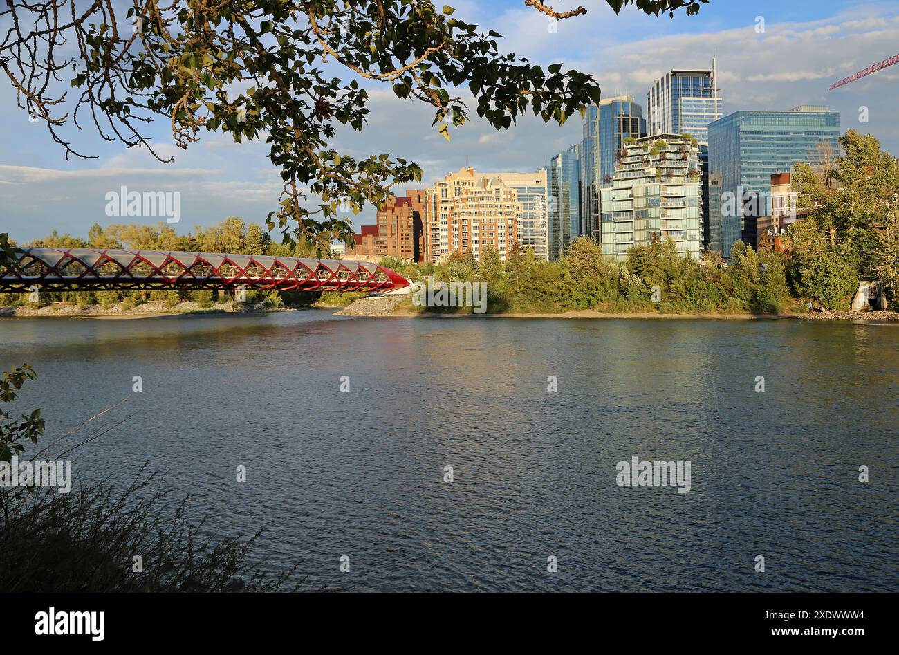 Vista a Calgary, Canada Foto Stock