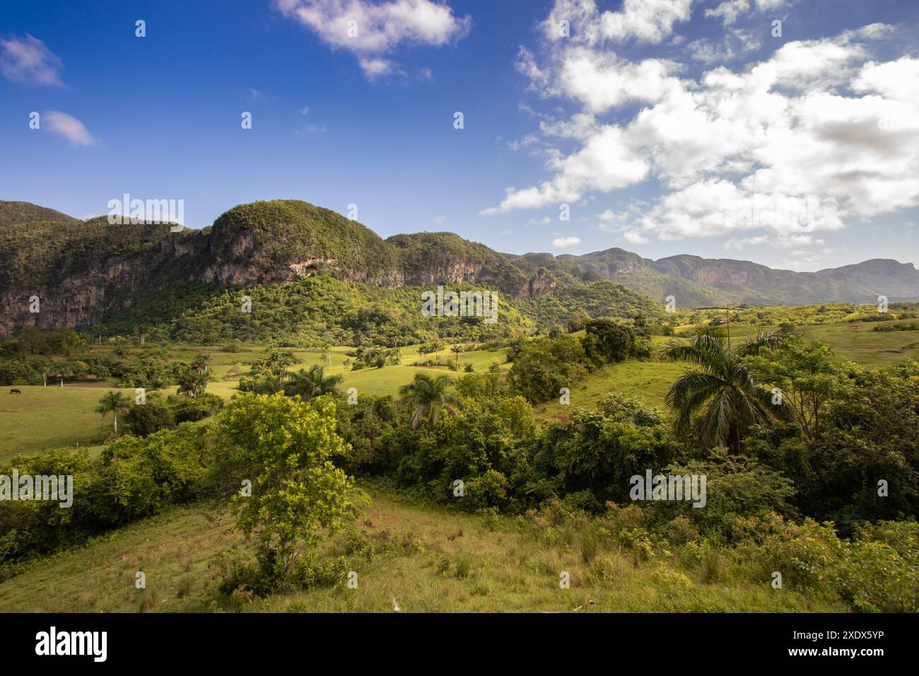 Paesaggio della valle di Viñales con mogoti e vegetazione tropicale, Pinar del Río, Cuba Foto Stock