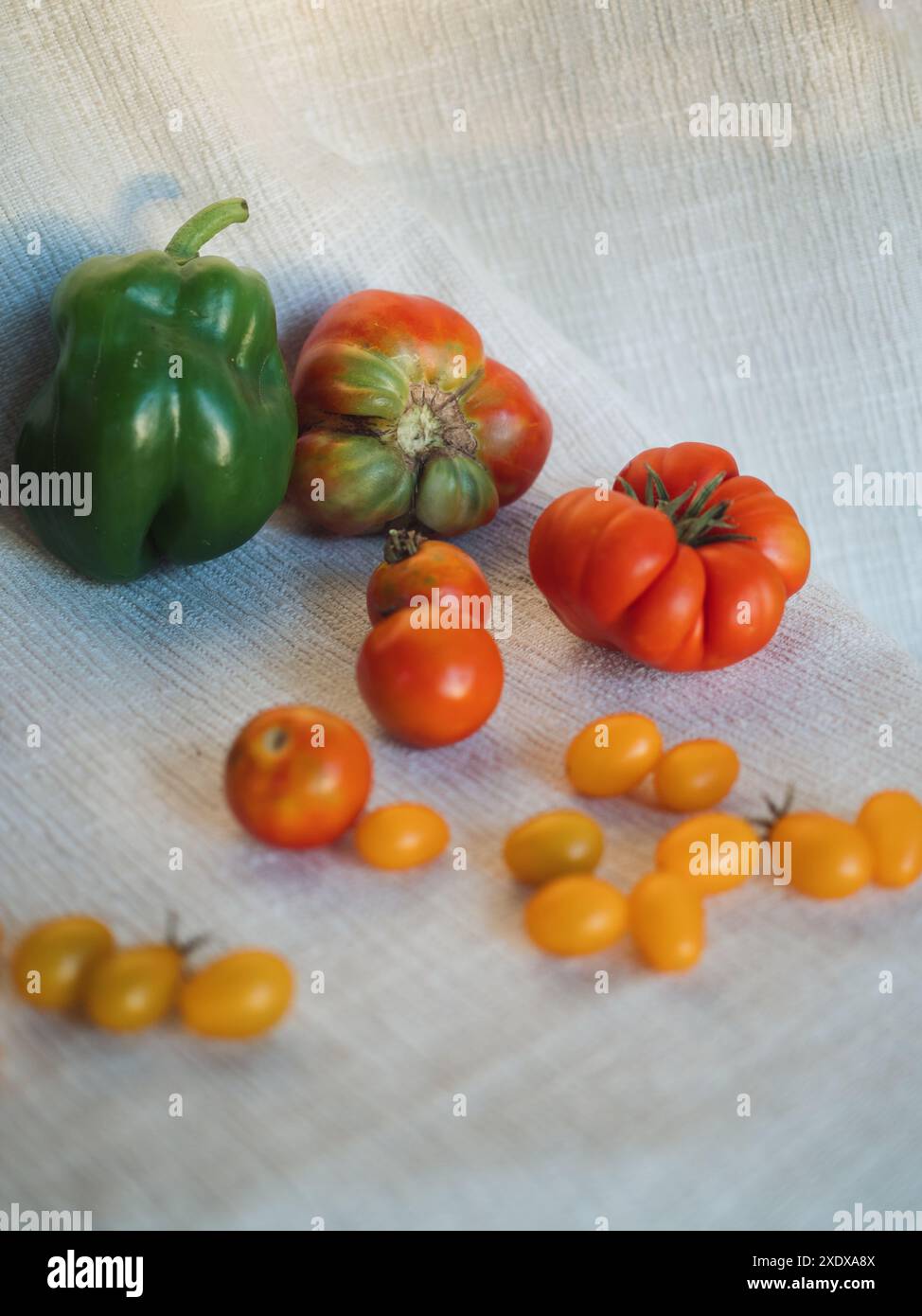 Natura morta verticale di pomodori e peperoni su un panno di cotone bianco alla luce del sole dorato Foto Stock