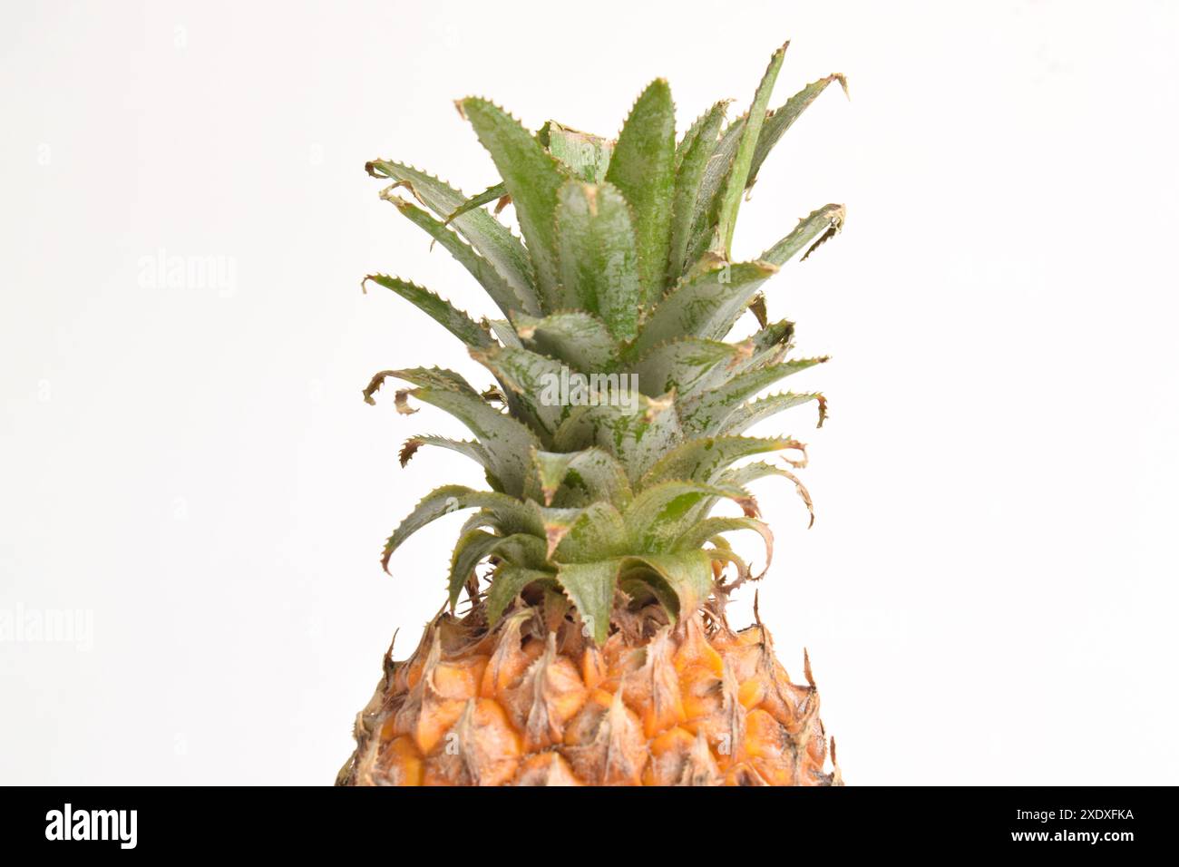 Ananas fresco maturo, ananas isolato su sfondo bianco Foto Stock
