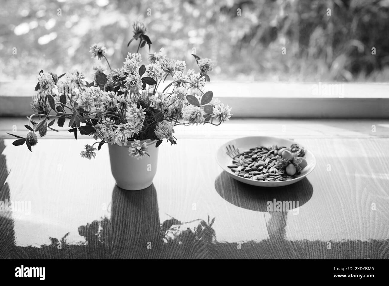 Bouquet di trifogli in tazza bianca, semi di girasole e nocciole, in bianco e nero Foto Stock