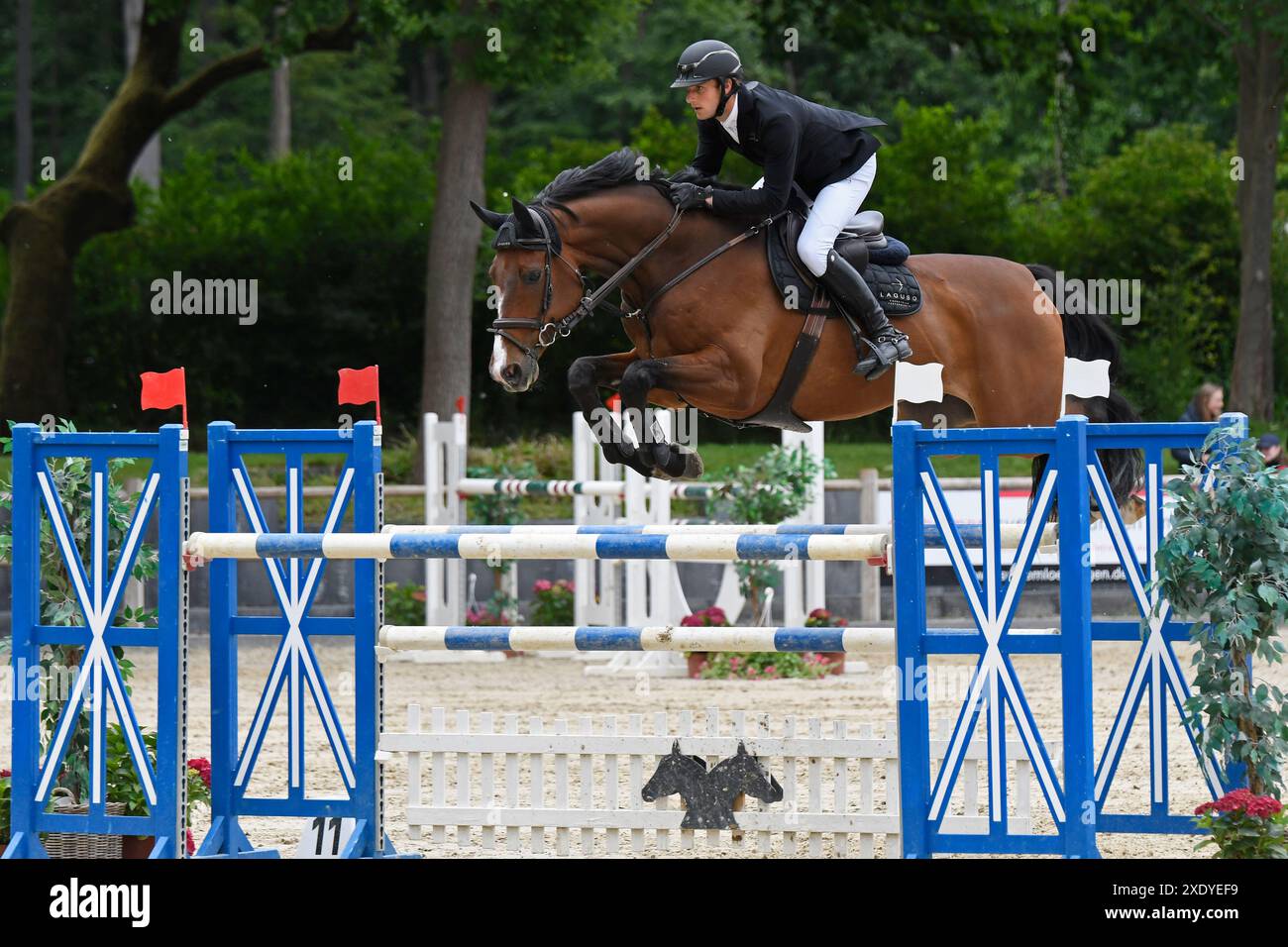 Classe S di salto di cavalli a Darmstadt Kranichstein senza spettatori Foto Stock