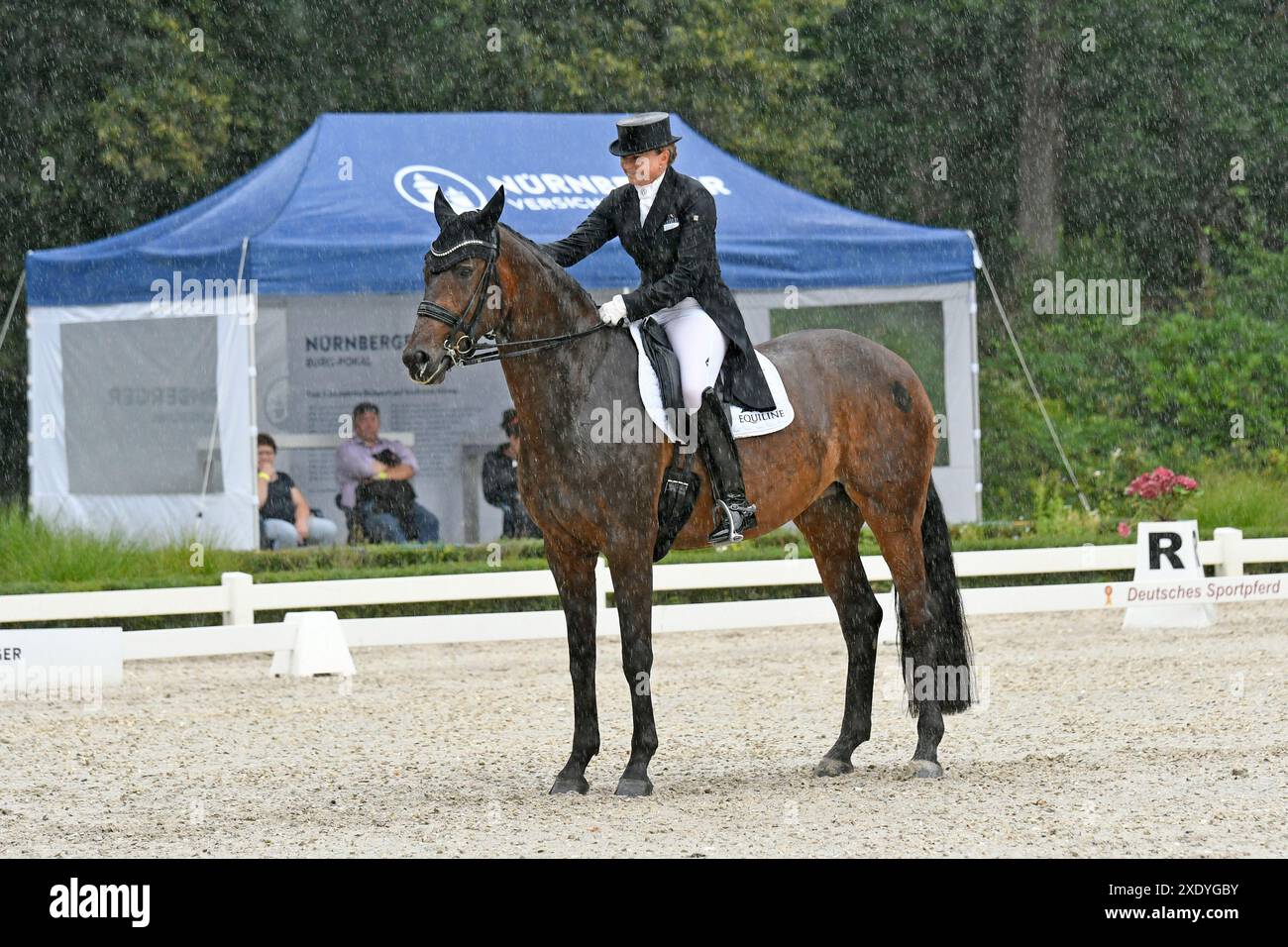 Finalqualification Horse Sport Dressage NÃ¼rnberger Burgpokal Foto Stock