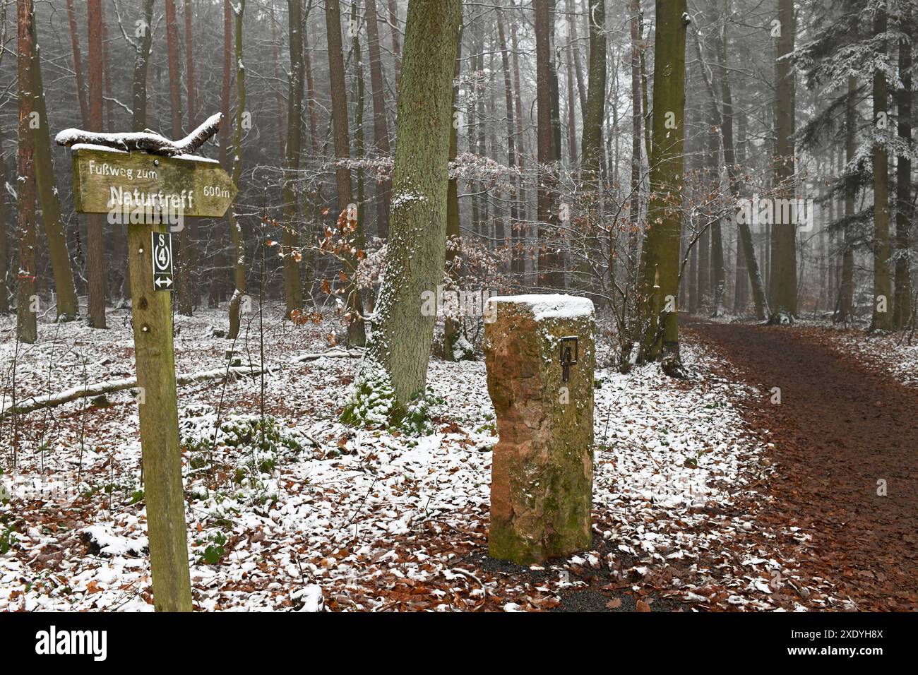 Guarda un cartello di legno mentre fai un'escursione nei pressi di Gross-umstadt / assia / germania Foto Stock