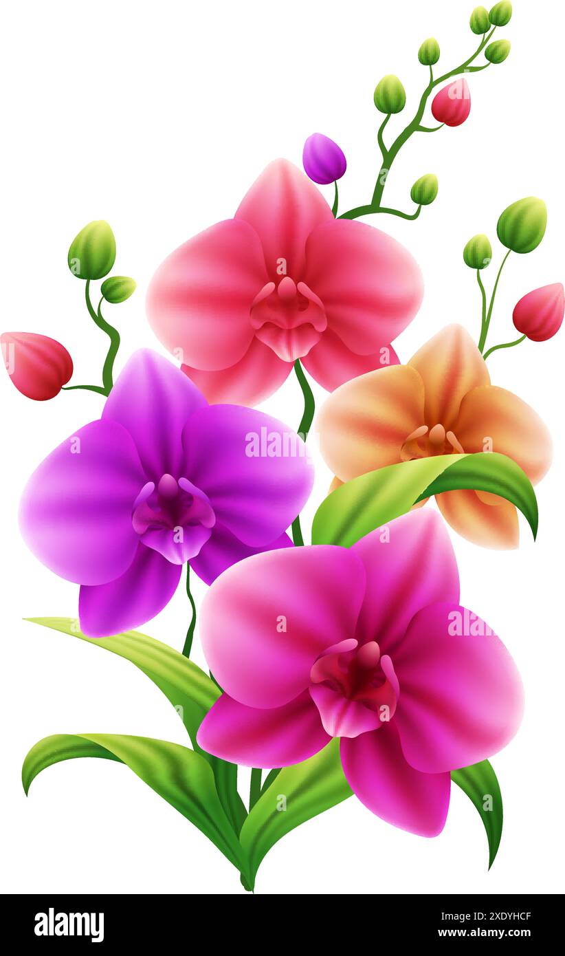 Graziosa illustrazione vettoriale del fiore di Orchidea con colore rosa lucido, viola e giallo e foglie di verde brillante Illustrazione Vettoriale