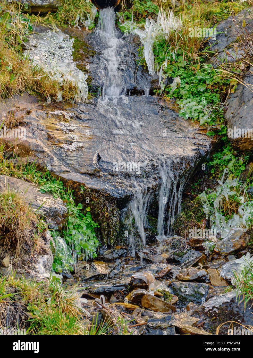 Dopo una notte ghiacciata, il ghiaccio si è formato sulle rive di un torrente di montagna, Italia, alto Adige, San Martino Foto Stock