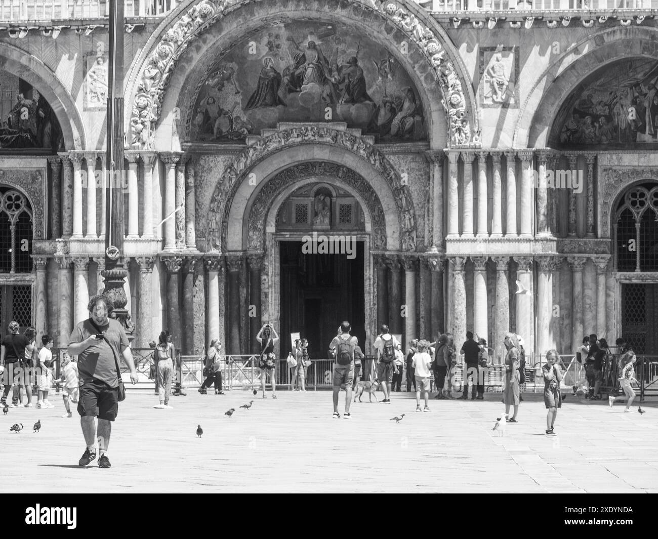 Venezia, Italia - 30 giugno 20220 turisti che camminano in piazza san Marco con piccioni che volano a venezia Foto Stock