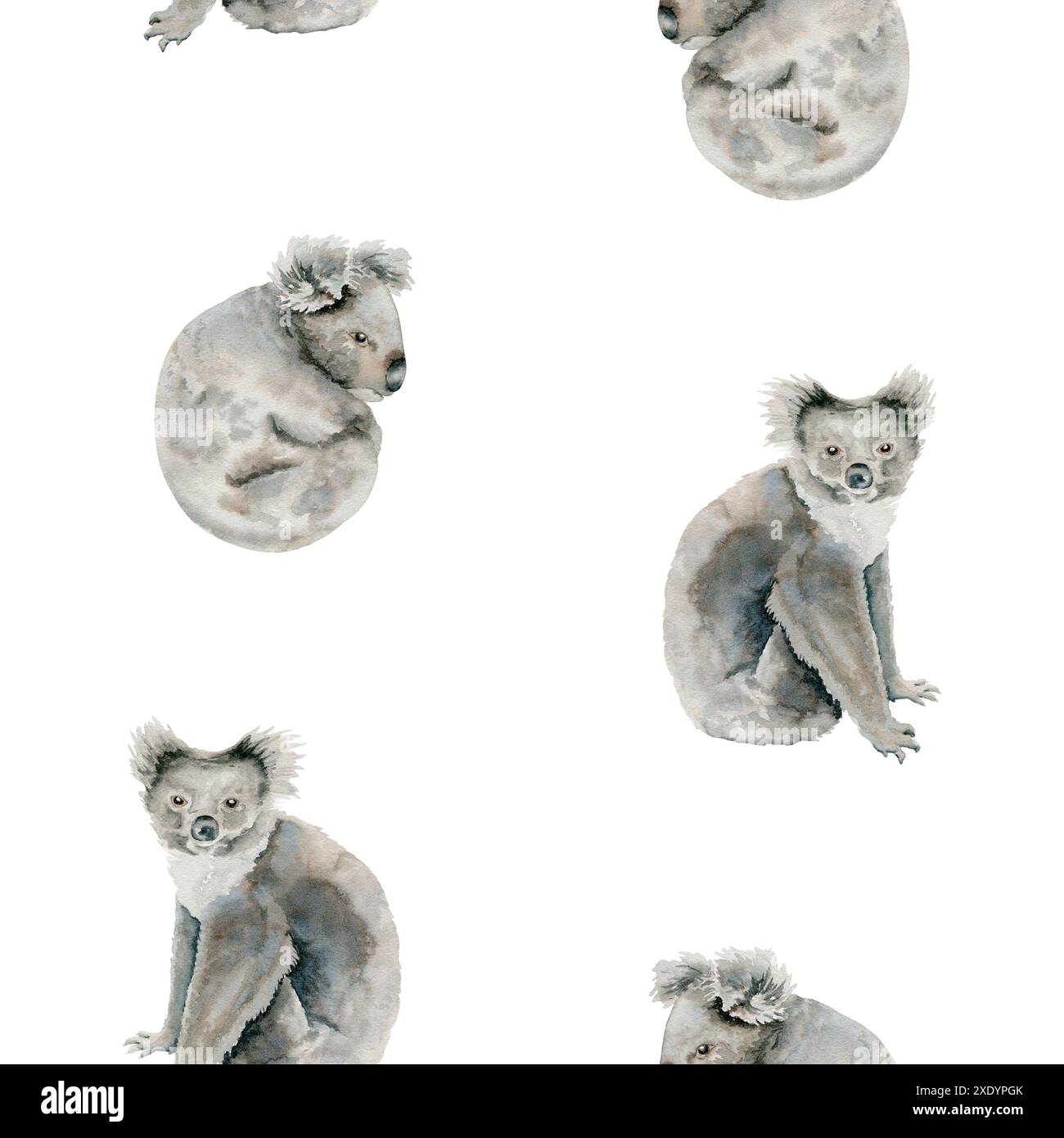 Il simpatico koala presenta un motivo senza cuciture. Carta da parati infinita animale australiano endemica. Illustrazione ad acquerello disegnata a mano isolata su sfondo bianco. Perfe Foto Stock