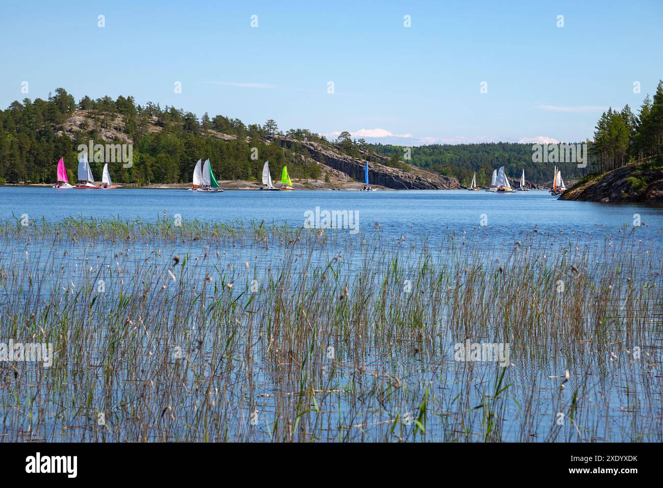 Barche a vela nella baia di Tervu. Ladoga Skerries. Carelia, Russia Foto Stock