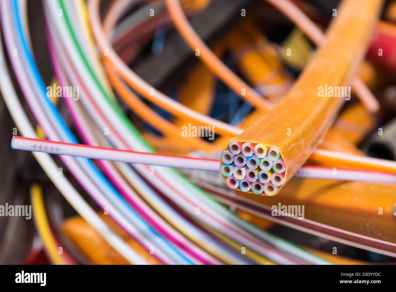Cavo in fibra ottica per Internet veloce tramite rete a fibra ottica - digitalizzazione Foto Stock