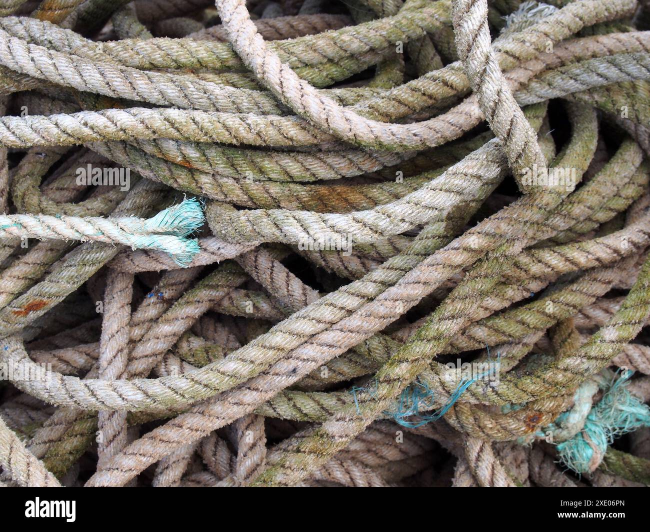 Vecchia fune da pesca marina a spirale e annodata di colore marrone con estremità sfilacciate macchiate dal mare Foto Stock