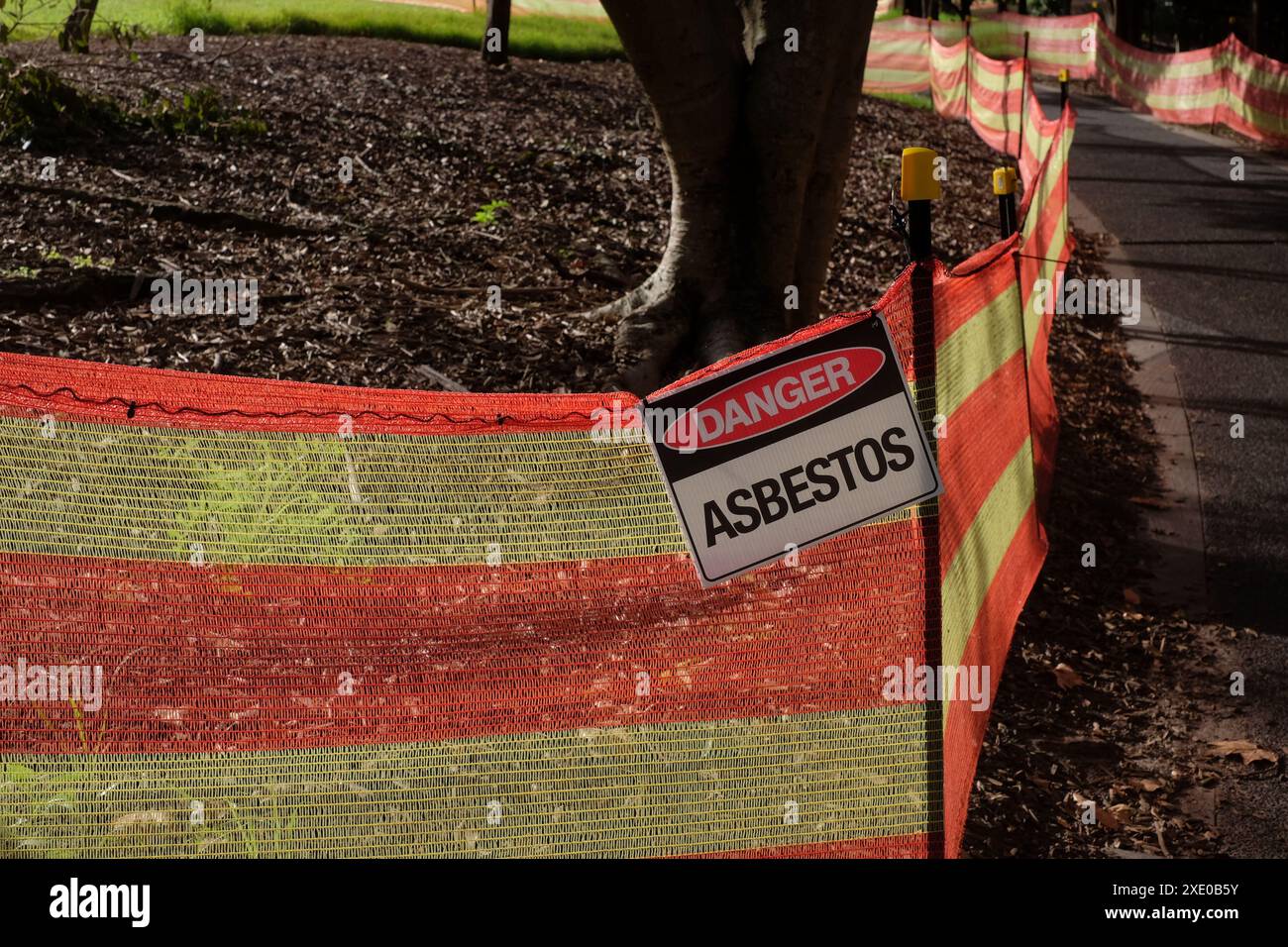 Amianto al Cook & Philip Park delimitato da recinzioni gialle e rosse di barriera di pericolo, amianto pericoloso, contaminazione amianto emergenza pacciamatura a Sydney Foto Stock