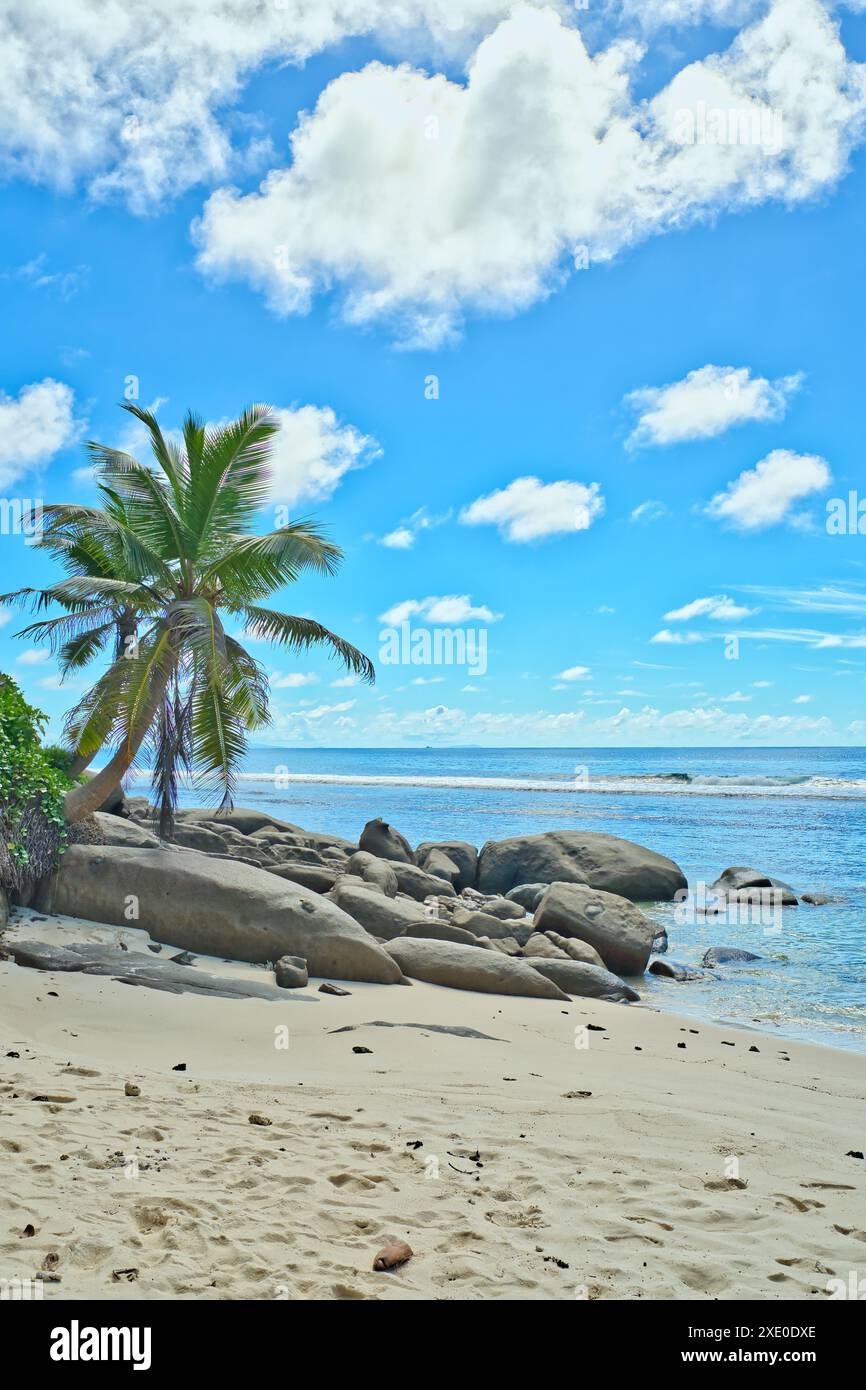 Spiaggia di Anse Parnel, cielo blu acqua turchese, bassa marea giornata di sole, spiaggia di sabbia bianca, palme da cocco, Mahe, Seychelles Foto Stock