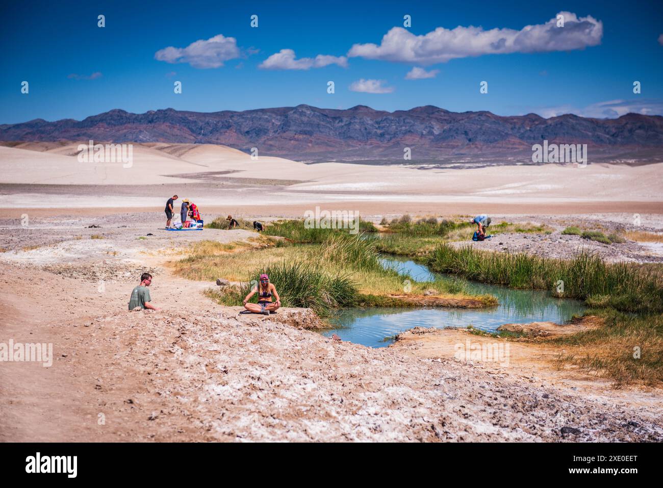 Tecopa, California USA - 27 marzo 2017: Le sorgenti termali di fango di Tecopa sono un'oasi nel deserto. Queste sorgenti termali sono gratuite e l'abbigliamento è facoltativo. C'è Foto Stock