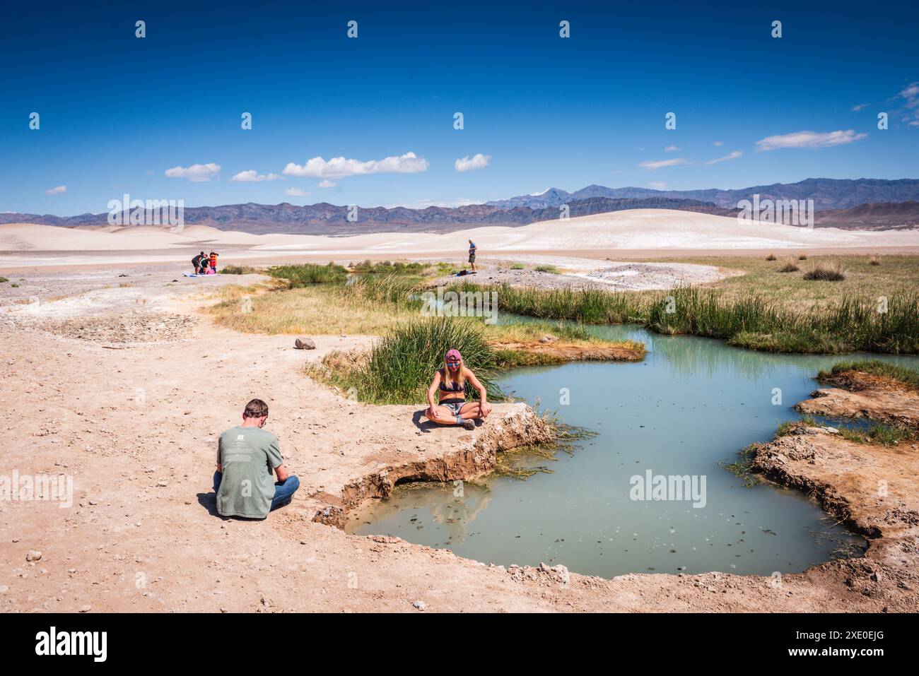 Tecopa, California USA - 27 marzo 2017: Le sorgenti termali di fango di Tecopa sono un'oasi nel deserto. Queste sorgenti termali sono gratuite e l'abbigliamento è facoltativo. C'è Foto Stock
