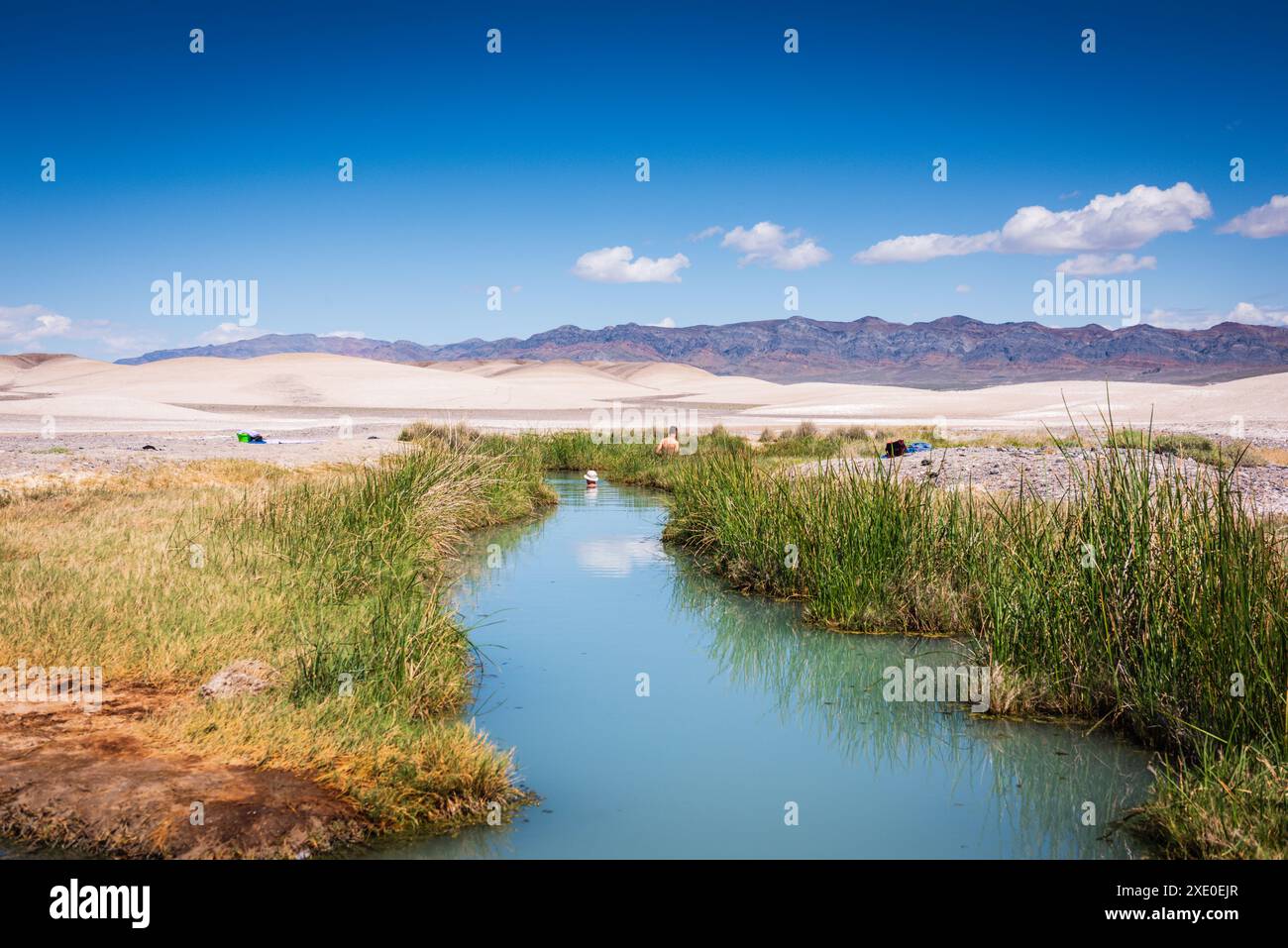 Tecopa, California USA - 27 marzo 2017: Le sorgenti termali di fango di Tecopa sono un'oasi nel deserto. Queste sorgenti termali sono gratuite e l'abbigliamento è facoltativo. C'è Foto Stock