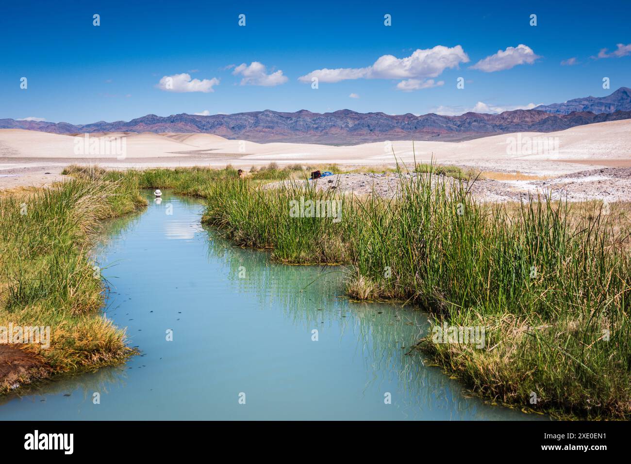 Tecopa, California USA - 27 marzo 2017: Le sorgenti termali di fango di Tecopa sono un'oasi nel deserto. Queste sorgenti termali sono gratuite e l'abbigliamento è facoltativo. C'è Foto Stock