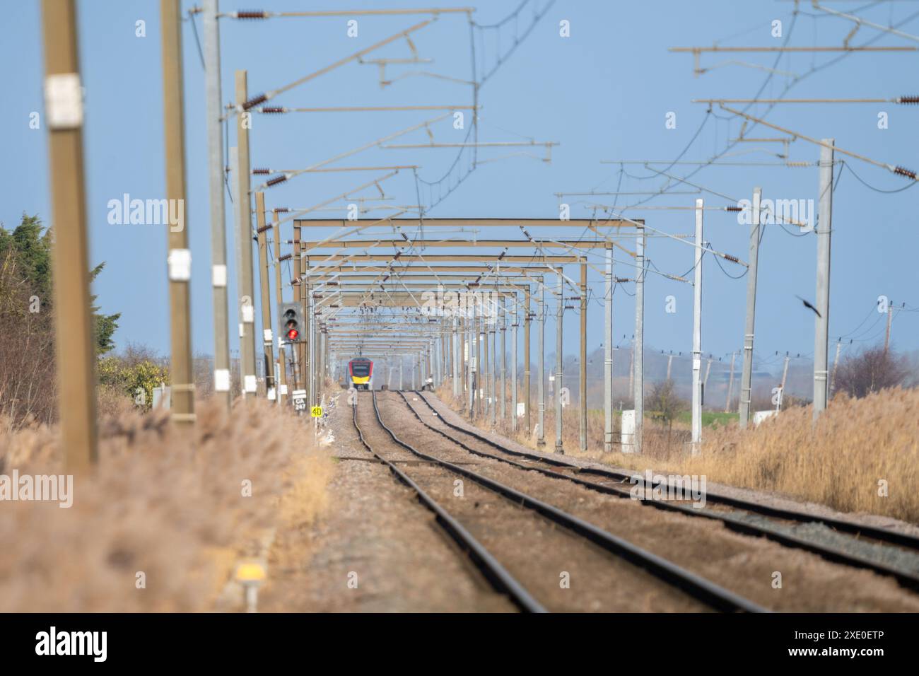Teleobiettivo lungo di un treno in avvicinamento in lontananza che scende lungo un rettilineo pianeggiante sotto i ponti elettrici in una giornata di sole Foto Stock