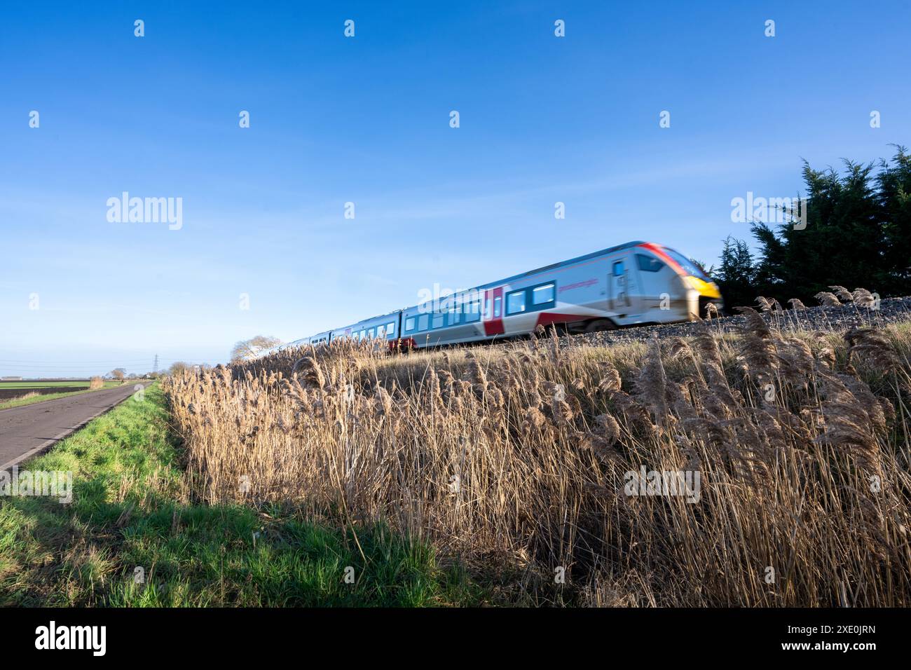 Il treno interurbano della Greater Anglia attraversa fenland pianeggiante su un terrapieno con prato in primo piano sotto il cielo blu Foto Stock