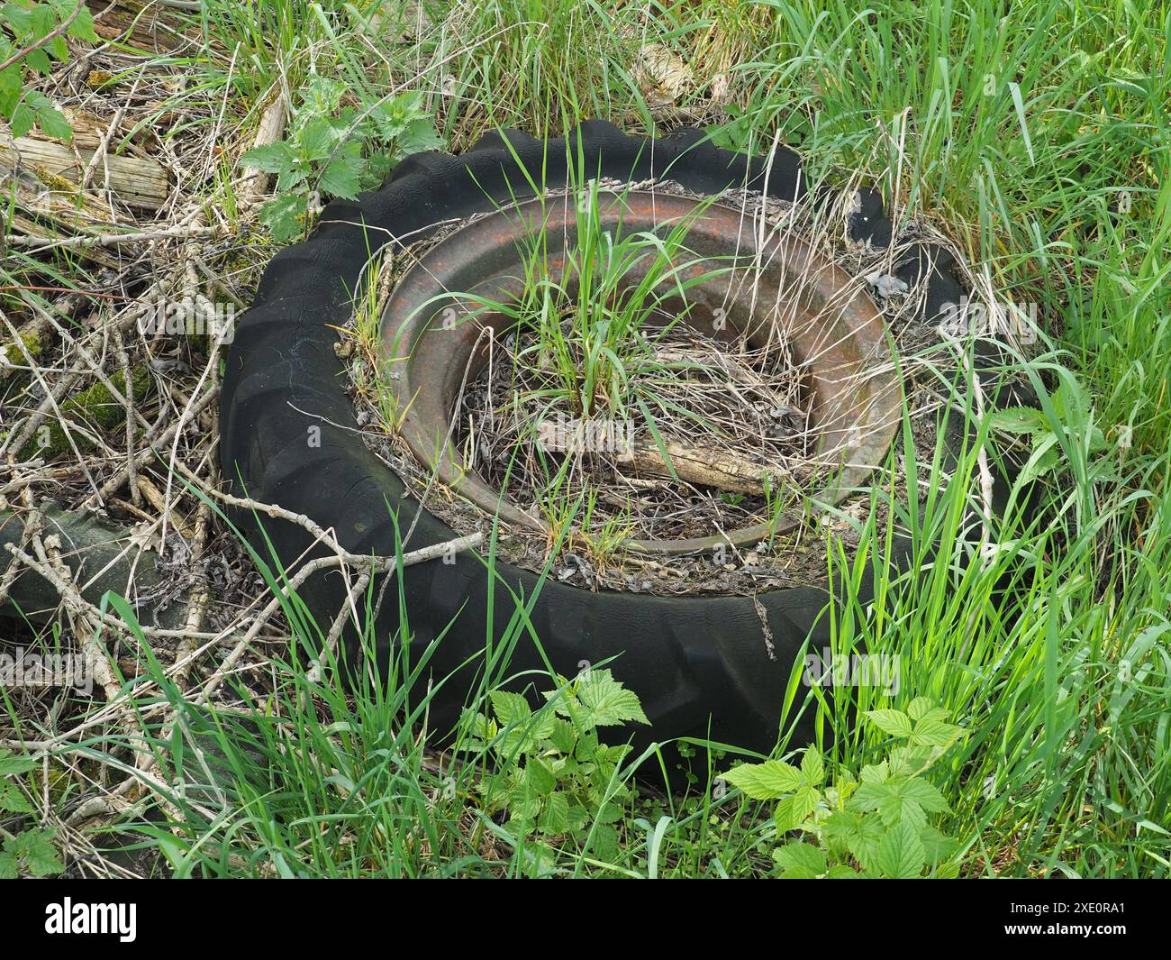 Smaltimento rifiuti illegale, pneumatici del trattore Foto Stock