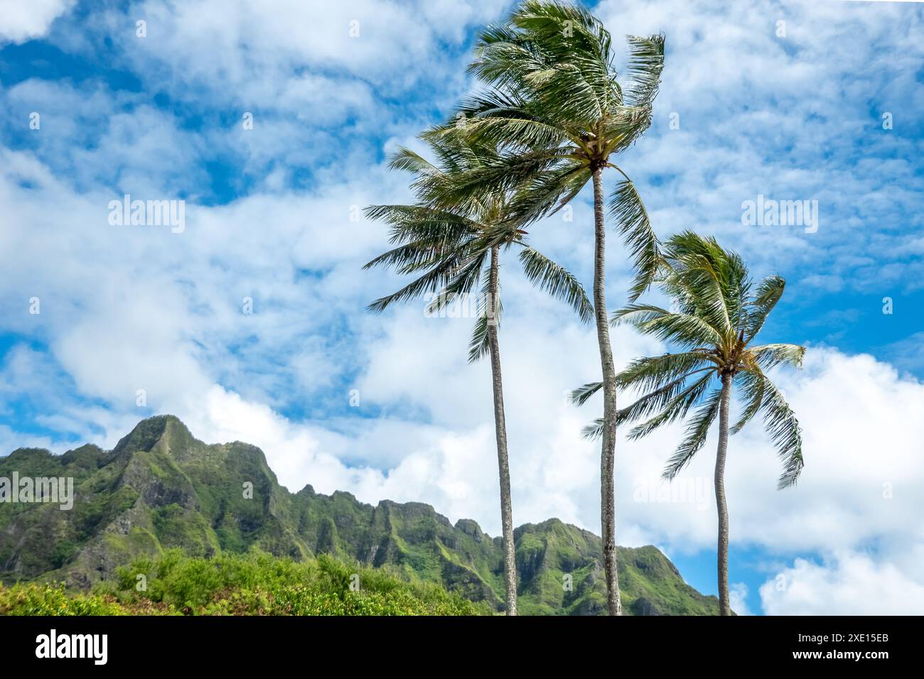 Kualoa mountain range vista panoramica, famosa location del film su Oahu Island, Hawaii Foto Stock