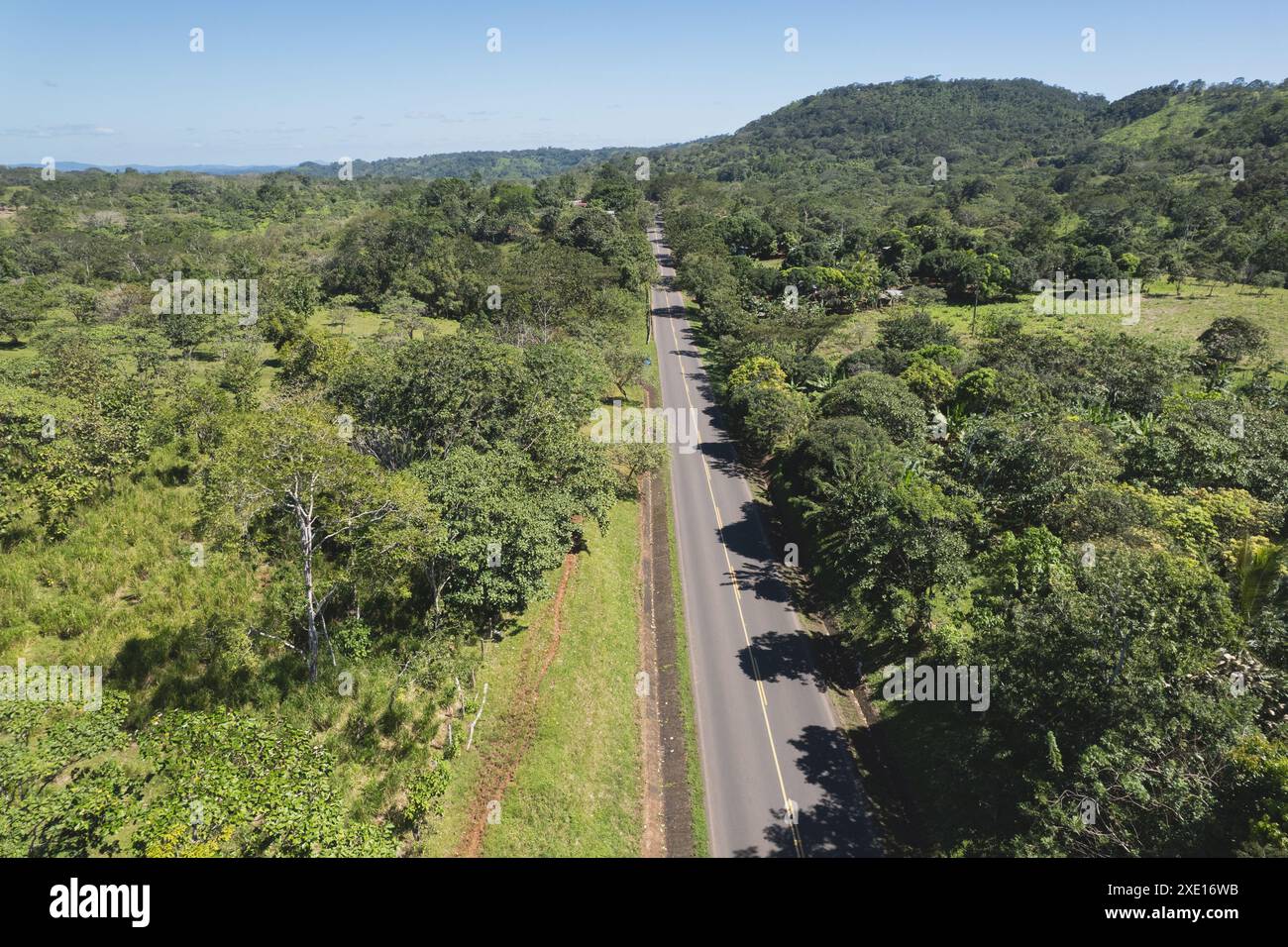 Strada asfaltata con ombreggiature di alberi su di essa vista aerea con droni Foto Stock