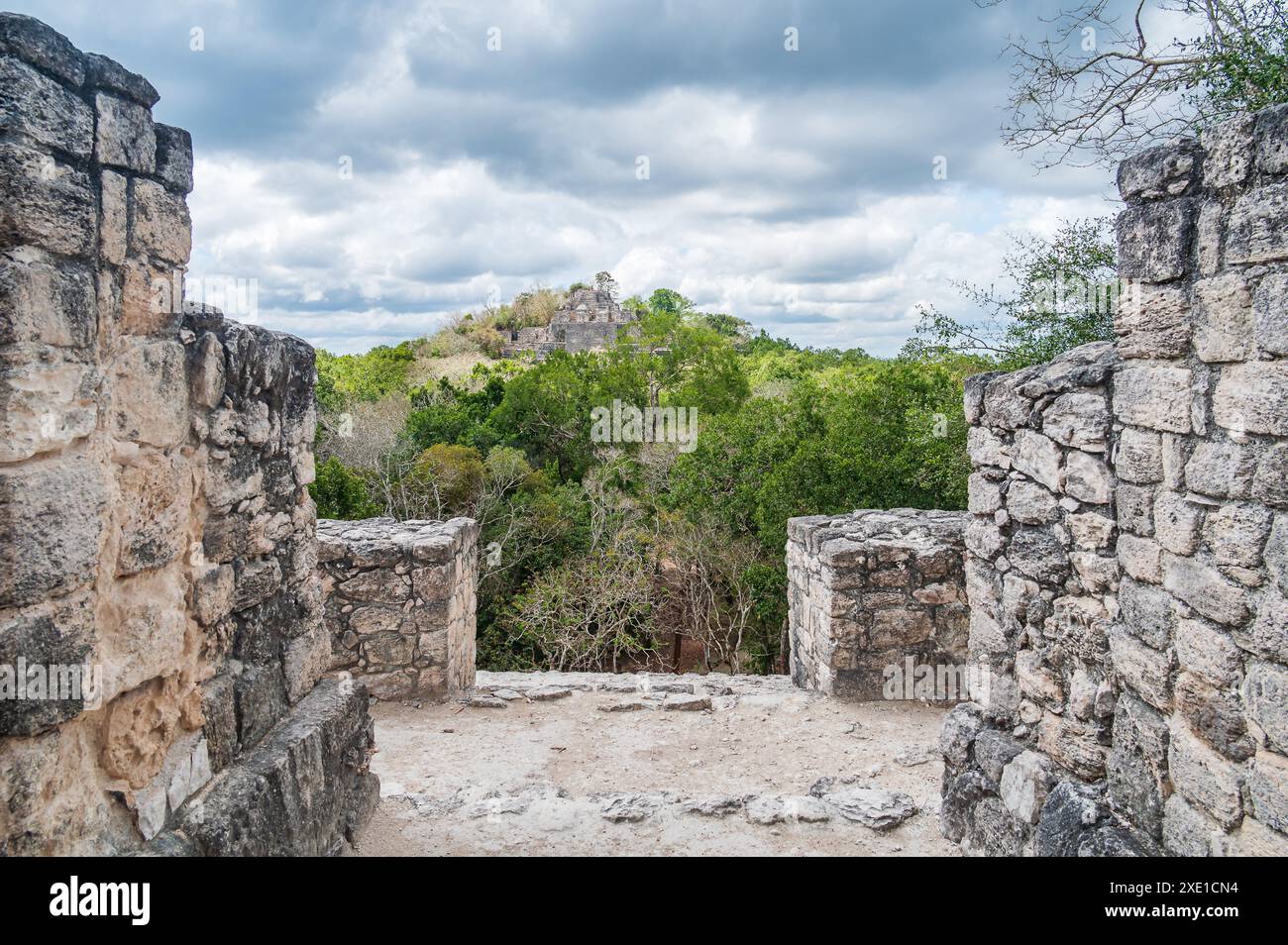 Rovine Maya nella giungla Foto Stock