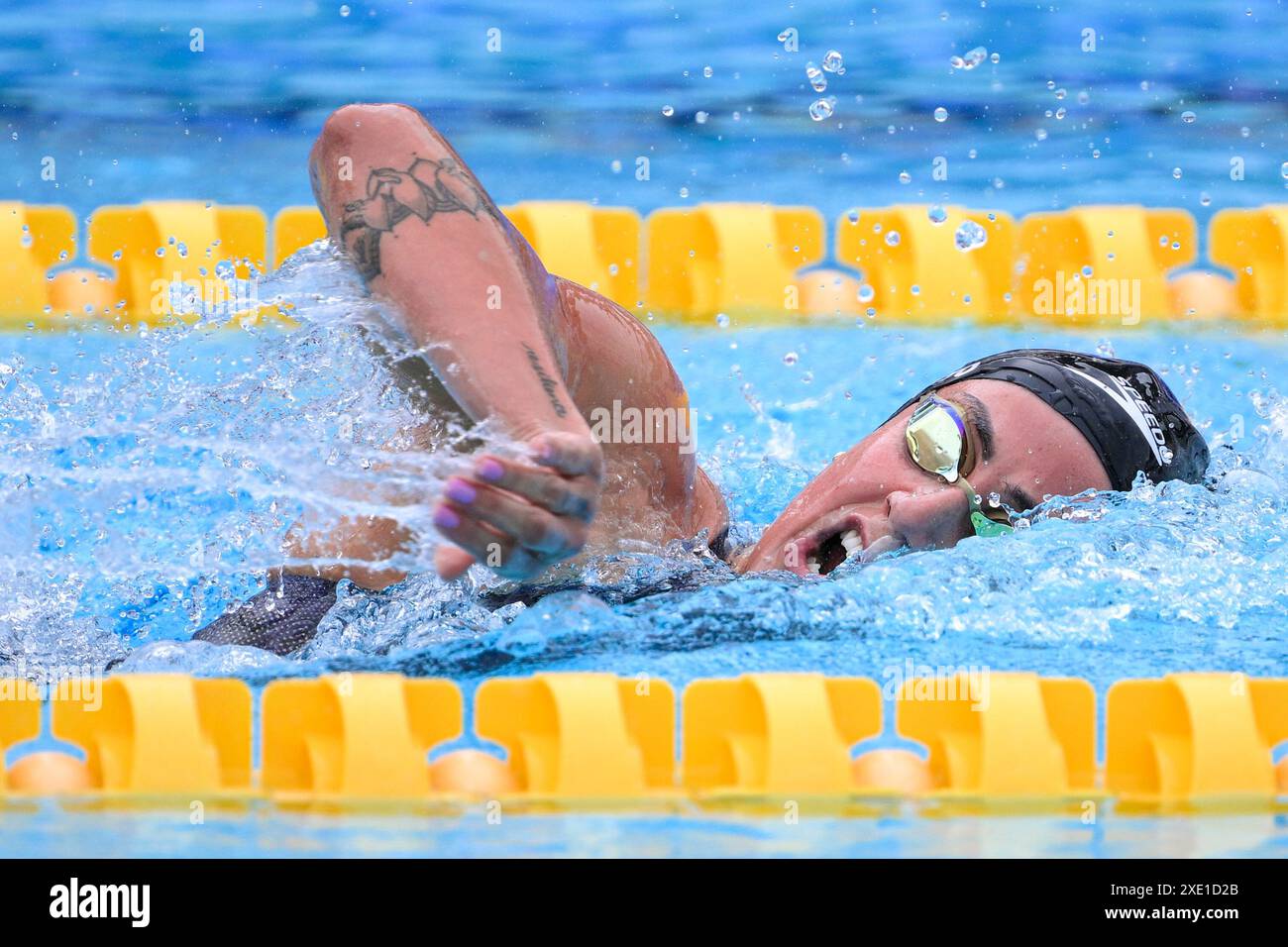 Gabrielle roncatto immagini e fotografie stock ad alta risoluzione Alamy