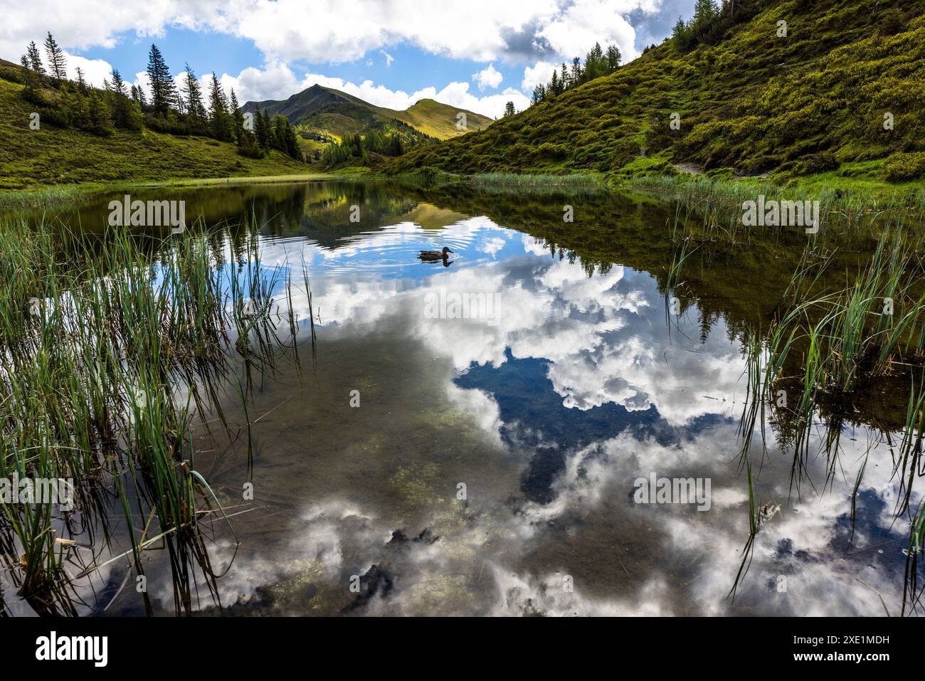 ACHT, Salisburgo, Salisburgo, Austria Foto Stock