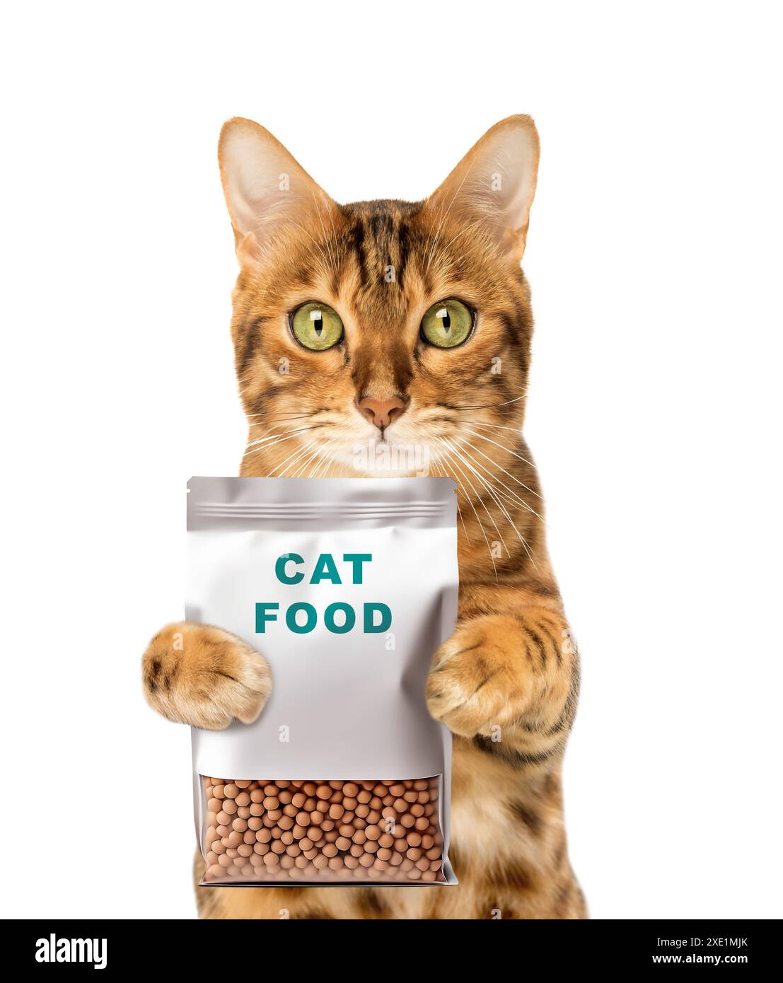 Il gatto divertente sta tenendo in mano un pacchetto di cibo secco per gatto Foto Stock