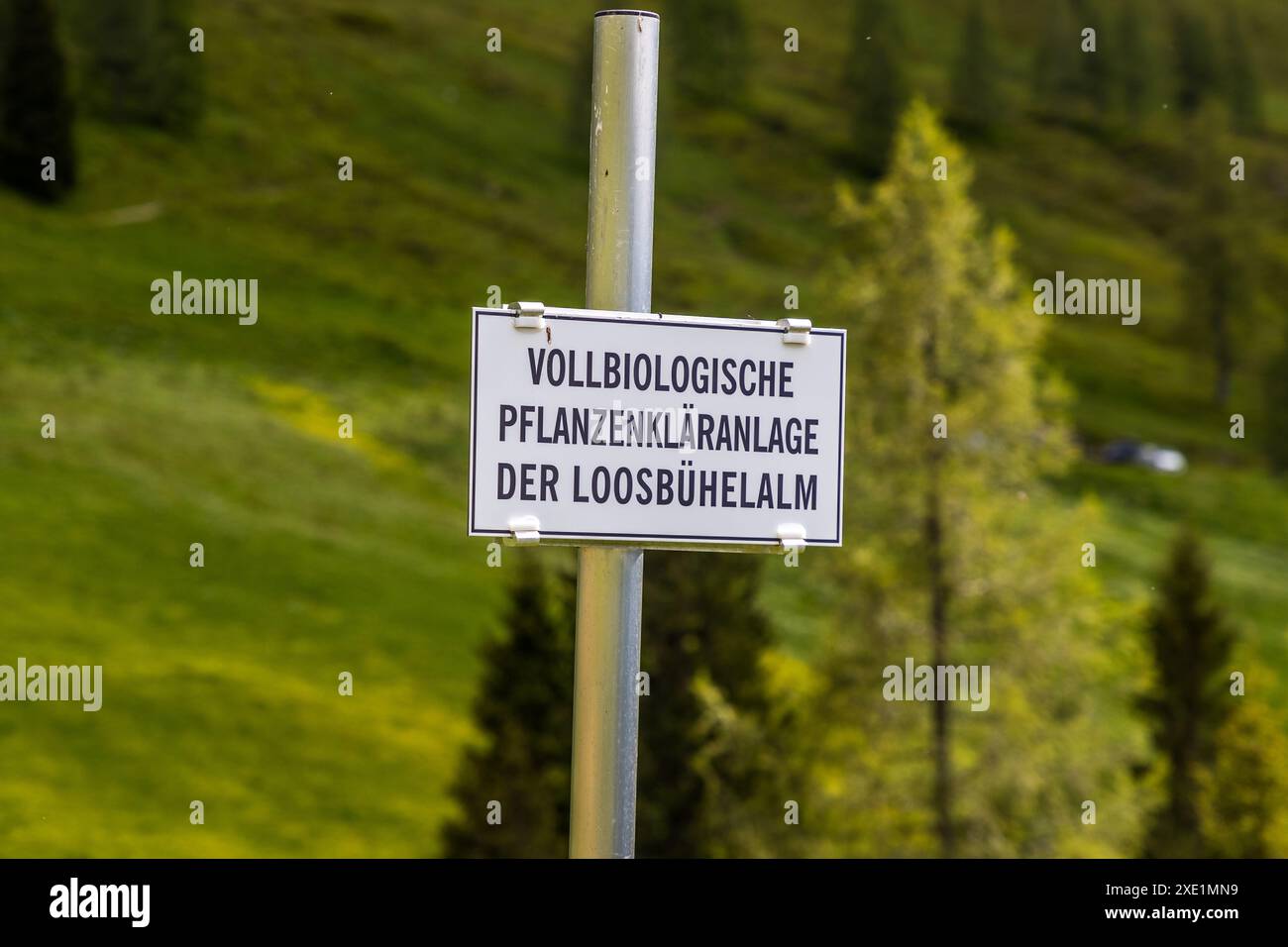 L'area umida costruita della Loosbühelalm è segnalata da un cartello sul sentiero Almenweg nella valle di Großarl, Salisburgo, Austria. Tali sistemi piantati con canne e ghiaia trattano le acque reflue in modo completamente biologico, senza collegamento a una rete fognaria centrale. Foto Stock