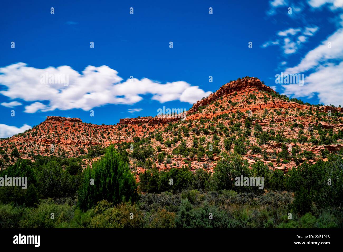 Vermilion Cliff nel sud-ovest dello Utah e dell'Arizona. Foto Stock