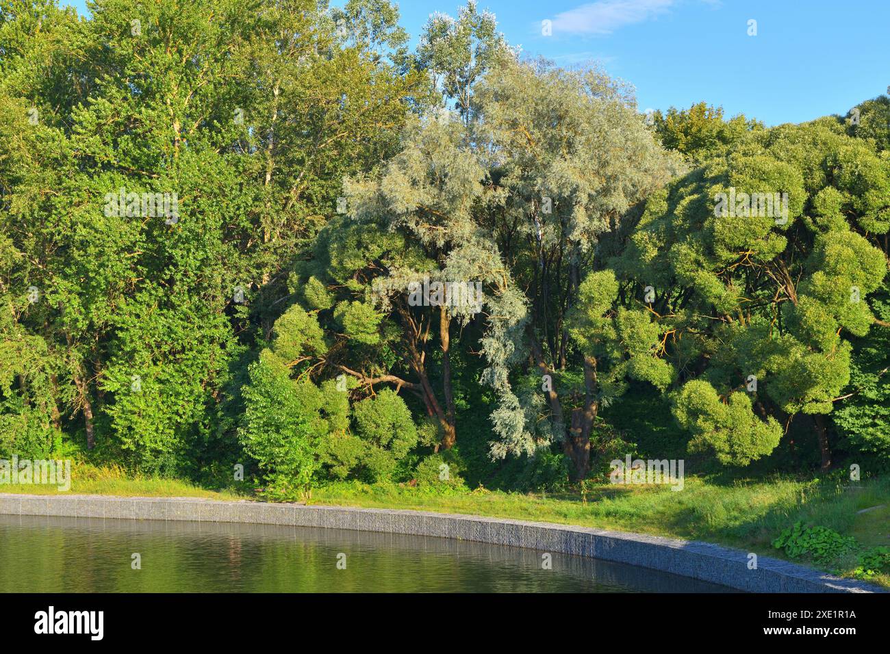 Arboreto e un grande stagno cittadino a Zelenograd a Mosca, Russia Foto Stock