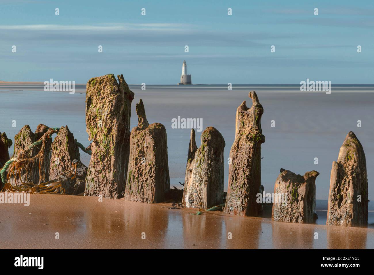Il faro di Rattray Head si erge a sentinella sulle insidiose rive sabbiose di Rattray Head, dove i resti scheletrici di relitti di legno fungono da nave Foto Stock