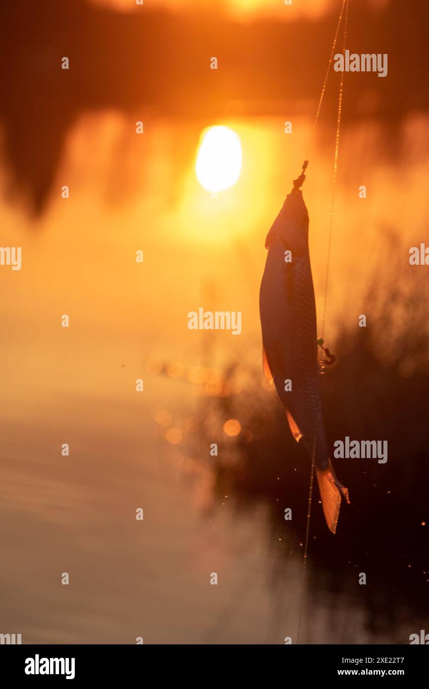 Gioco d'azzardo e pesca sul fiume la sera Foto Stock