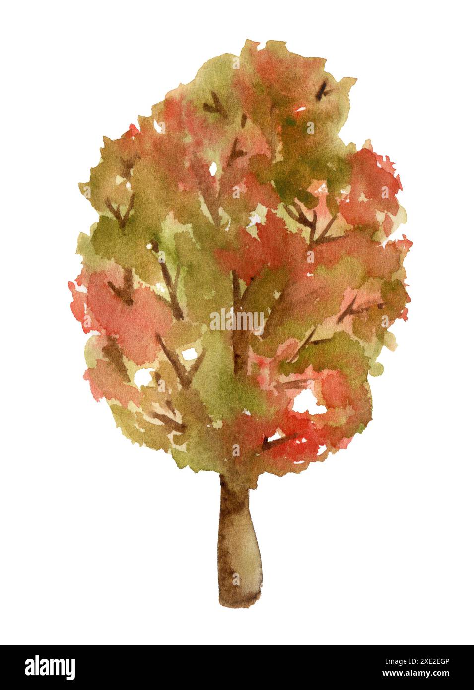 Albero della foresta degli acquerelli. Albero autunnale con foglie rosse e gialle. Foto Stock