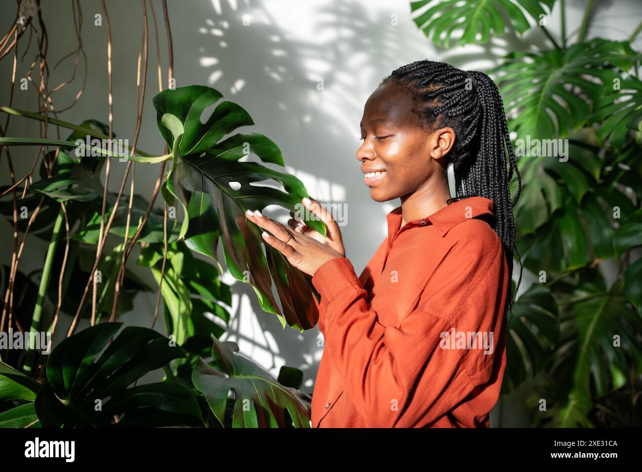 Donna nera interessata giardiniere toccando la pianta d'casa monstera esamina le foglie godere di risultati di crescita. Foto Stock