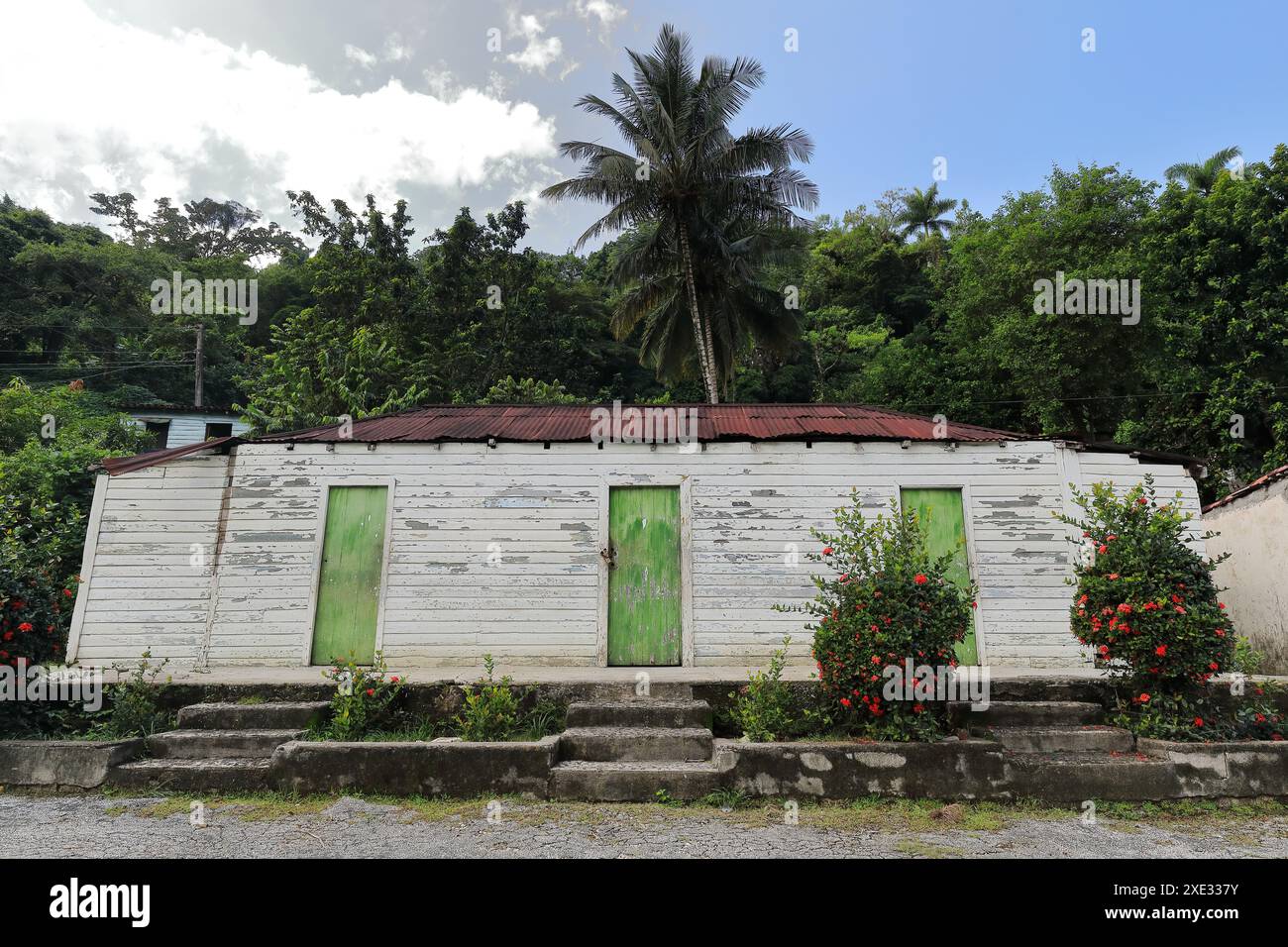 423 capanna in legno verniciato bianco e verde erba - bohio - di tetto in lamiera ondulata, fattoria per la coltivazione del caffè nel villaggio di Santo Domingo. Granma-Cuba. Foto Stock