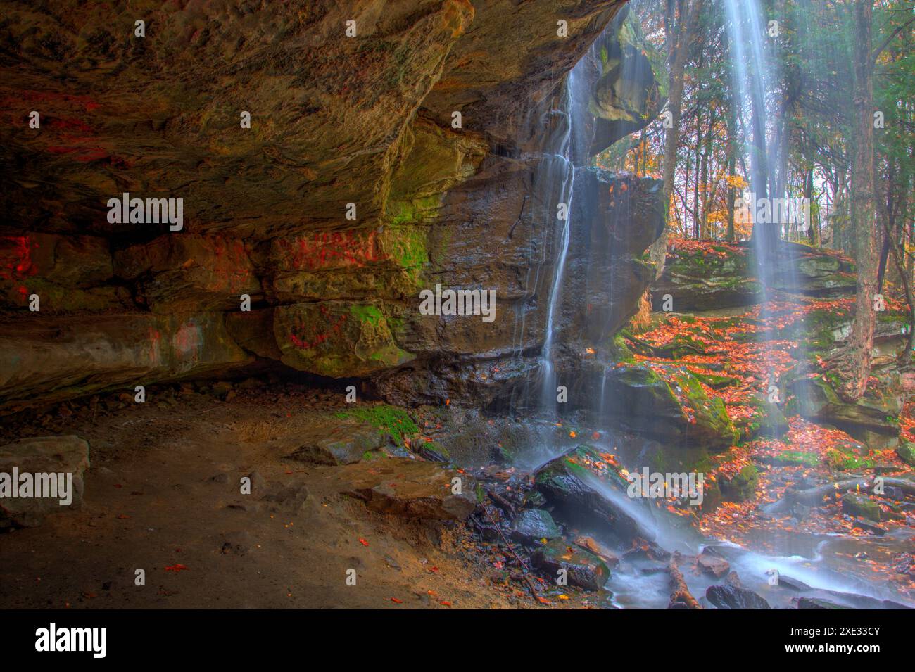 Lower Dundee Falls in Autumn, Beach City Wilderness area, Ohio Foto Stock