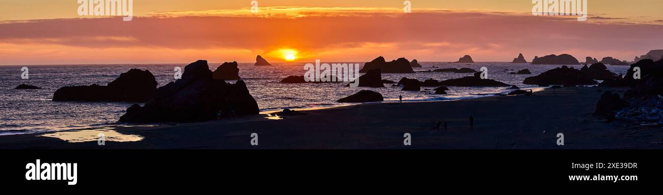 Tramonto sulle formazioni rocciose all'Harris Beach Oregon Panorama Foto Stock