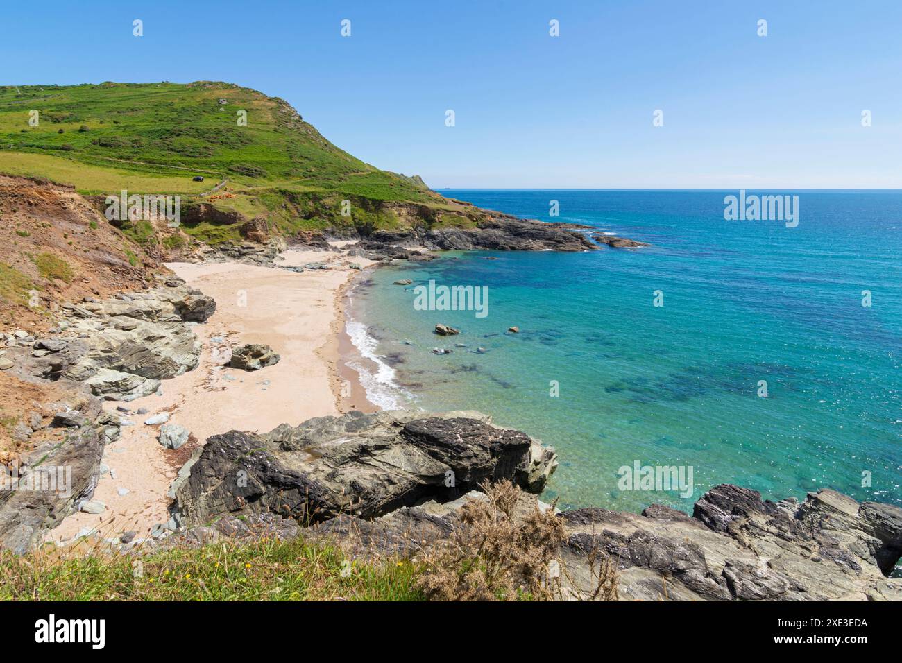 Guardando in basso verso gara Rock Beach - Devon, Regno Unito Foto Stock