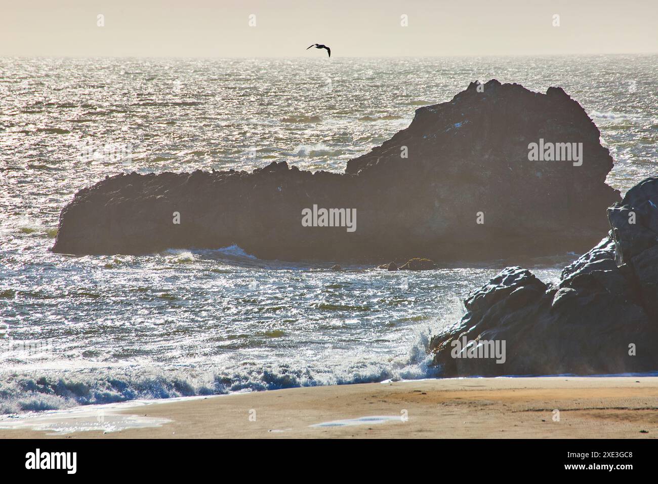 Le rocce costiere e il gabbiano altissimo al Golden Hour Foto Stock