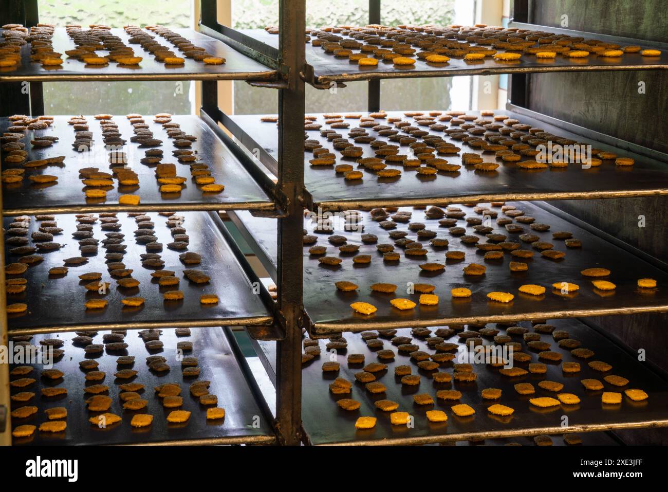 Biscotti natalizi su vassoi da forno Foto Stock