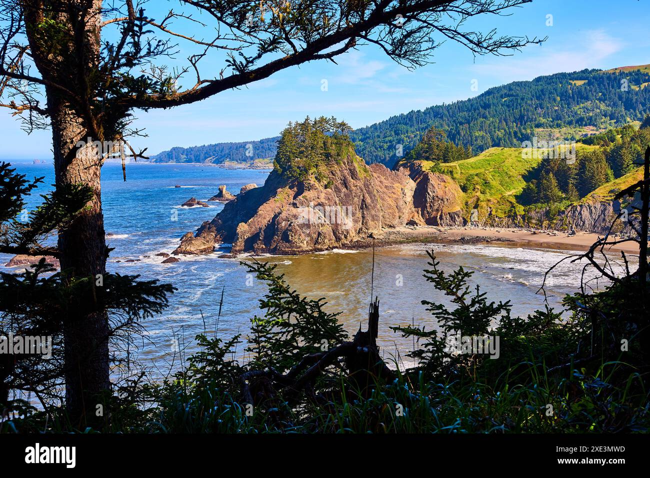 Scogliere costiere e sagome di pino a livello degli occhi Foto Stock
