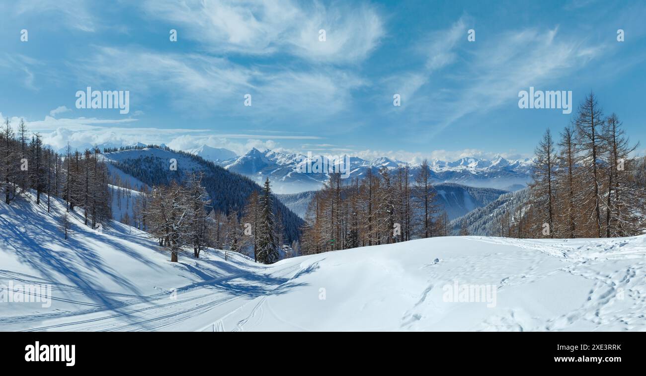 Inverno grove vicino a Dachstein massiccio di montagna Foto Stock