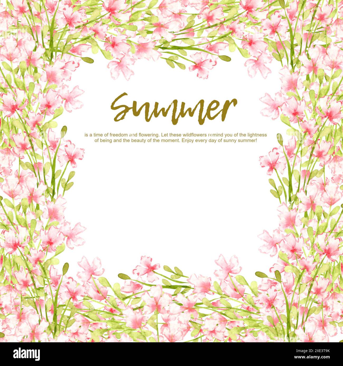 Fiori rosa, piccoli fiori selvatici, illustrazione ad acquerello in una cornice quadrata con testo. Prato estivo con stampa floreale e fiori selvatici. Isolato da t Foto Stock